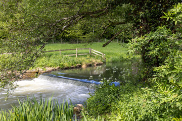 water rushing over the weir in the woods