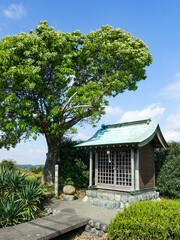 旧東海道の三大難所「小夜の中山」、茶畑の祠（白山神社）