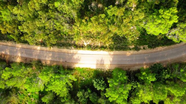 Aerial Shot Of Footpath Amidst Trees In Forest, Drone Flying Upwards Over Trees On Sunny Day - Ben Shemen, Israel