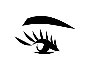 eyelashes and eyebrows. makeup