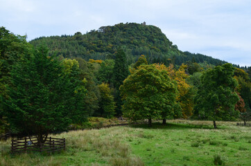 Fototapeta na wymiar Beautiful lush vegetation in the countryside of scotland
