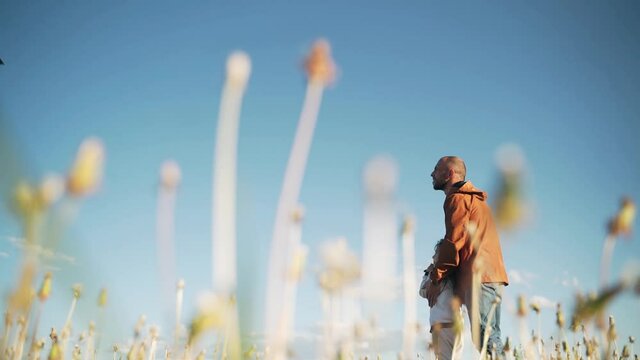 A man and a little girl lets fly a kite An eagle flies in the sky Bright rays of the sun Flying a kite Freedom Blue sky Family vacation Dandelions on the field Fatherhood Happy family Slow motion