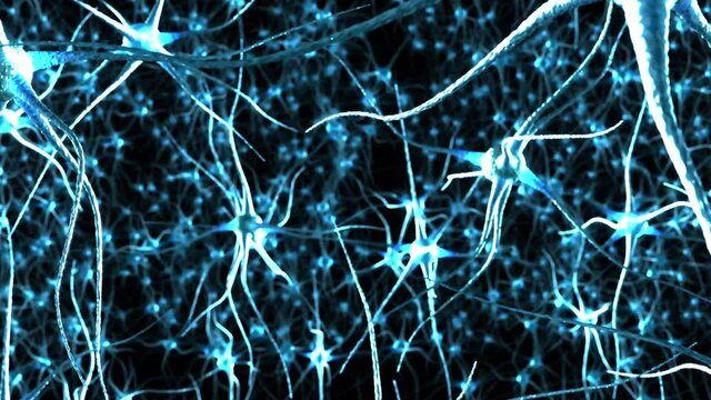 Neurons brain background