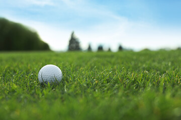 Golf ball on green course, space for text