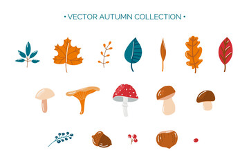 Set of autumn elements: leaves, berries, mushrooms, nuts. Vector flat collection in warm colors isolated on a white background.