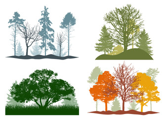 Four seasons, silhouette of summer, autumn, winter, spring woodland, landscape. Vector illustration