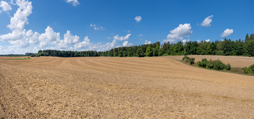 Neu bearbeitetes, hügeliges Feld aus brauner Erde vor einem Wald nach der Ernte im Sommer