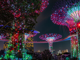 Trees illuminated in Singapore with various colors and at night in summer with a clear sky