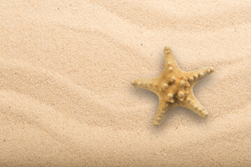 Fototapeta na wymiar Top view of Horned Starfish on the sandy beach