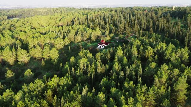 Aerial Descending Shot Of Thai Pagoda Amidst Tress On Sunny Day, Drone Flying Over Forest Against Sky - Ben Shemen, Israel