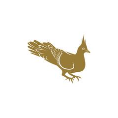 Crested Pigeon bird vector illustration. Crested Pigeon bird logo design concept template. Creative symbol