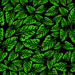 Green Leaf Seamless Pattern Vector