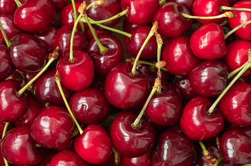 Summer background of red cherries	
