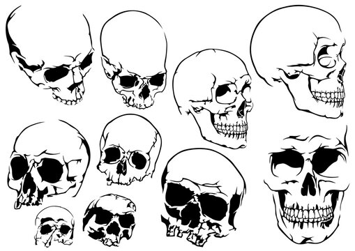 Set of Ten Black and White Human Skulls Isolated on White Background - Design Element Illustrations, Vector