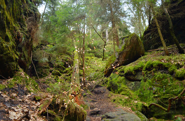 Scenic nature view at the Elbe sandstone mountains national park, Saxon Switzerland, Germany
