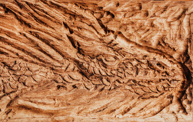 Photo of carved wooden dragon bas-relief sculpture, close-up photo.