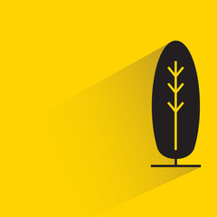 pine tree with shadow on yellow background