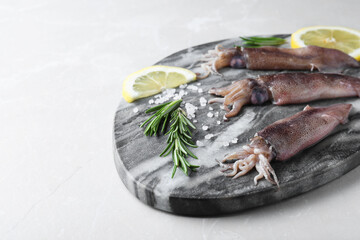Fresh raw squids with lemon, rosemary and salt on light grey marble table. Space for text