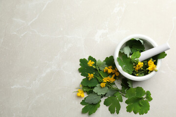 Fototapeta na wymiar Celandine with mortar and pestle on grey table, flat lay. Space for text