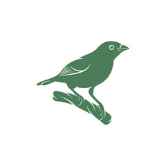 Saira Amarela bird vector illustration. Saira Amarela bird logo design concept template. Creative symbol