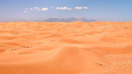 midday view of sand dunes field in San Rafael Swell area in Utah (Lower San Rafael Road)