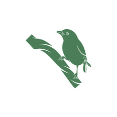 Obraz premium Saira Amarela bird vector illustration. Saira Amarela bird logo design concept template. Creative symbol