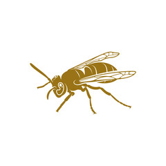 Wasp vector illustration. Wasp logo design concept template. Creative symbol