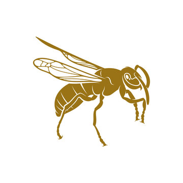 Wasp vector illustration. Wasp logo design concept template. Creative symbol