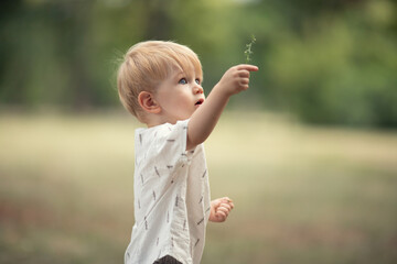 a little boy with big blue eyes walks in the park, holds a plant in his hand, explores the world...