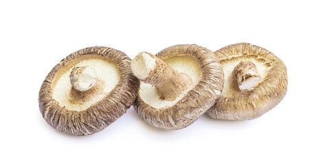 Shiitake mushroom isolated on White background	