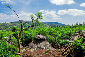 Fototapeta na wymiar Traditional Houses in the Konso Cultural Village, Ethiopia