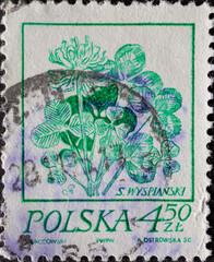 POLAND-CIRCA 1974 : A post stamp printed in Poland showing Drawing of a flower: trifolium - obrazy, fototapety, plakaty