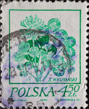 POLAND-CIRCA 1974 : A post stamp printed in Poland showing Drawing of a flower: trifolium