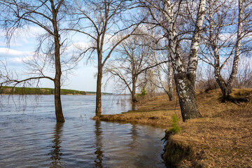 Fototapeta na wymiar The bank of the Tom River, flooded during the spring flood
