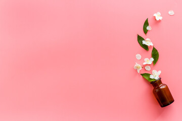 Jasmine flowers with essence oil bottle. Top view