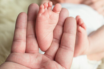 Cute little newborn baby feet in parent hand. Kid skin care concept.