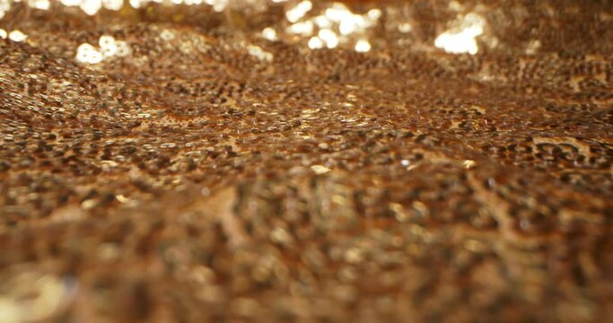 abstract textile background. detailed extreme close-up of gold sequins on fabric