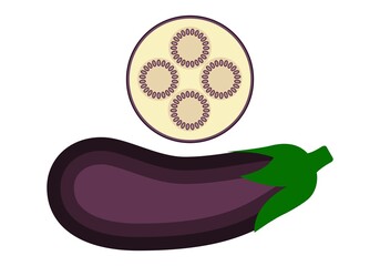 Eggplant and eggplant slices. Vector graphics on a white background.
