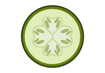 Zucchini  slices. Vector graphics on a white background.