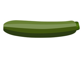 Zucchini.  Vector graphics on a white background.