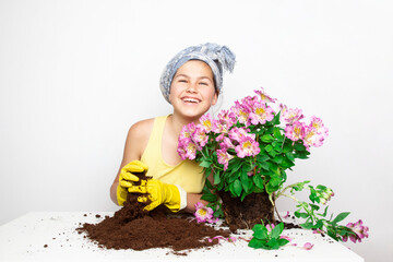 A teenager plants an Alstroemeria flower in a pot at home.