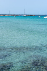 Fototapeta premium Ses Illetes beach in Formentera, Balearic Islands in Spain.