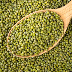 green mung bean in wooden spoon closeup