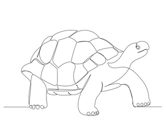 turtle continuous line drawing, sketch, isolated