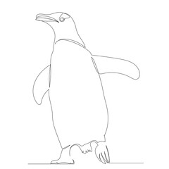 penguin continuous line drawing, sketch