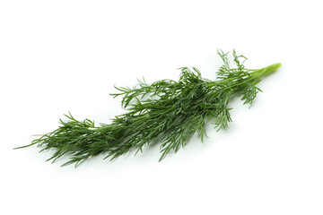 Fresh green dill isolated on white background