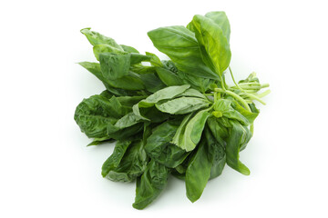 Fresh green basil isolated on white background