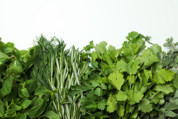 Fresh herbs on white background, space for text