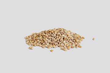 Natural and organic oat grains on white background, natural oatmeal for breakfast