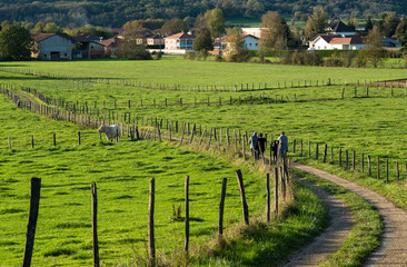 Chemin bucolique à Villereversure, Ain, France